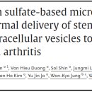황산매일시장 | 콘드로이친 황산 영양제 효능추천 및 관절에 좋은 이유