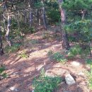 대양을 향해서 이미지