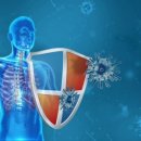 구로-구로-구로-732 이미지