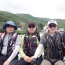 풍전통상 이미지