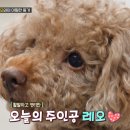 (주)레오솔루션 이미지