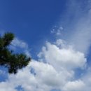세승