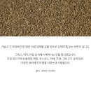 큐민양꼬치