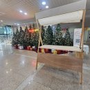 수영로 | 특별한 감성 가득한 부산 수영로교회 행사 나무부스 설치 대여 후기