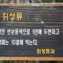 김제 금산사 이미지