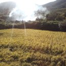 행복한농부 이미지