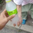 연신여인숙 이미지