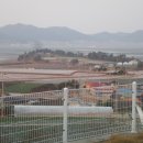 새론삶