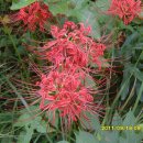 시종중학교 이미지