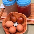 [송도 놀거리] 송도해수온천 송해온 / 송도 찜질방 솔직 후기