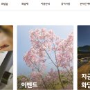사계절 이미지