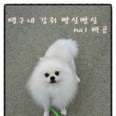 땡구야놀자 이미지