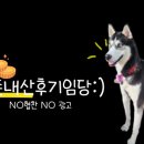 카페 견인지역(CAFE 견인지역)