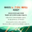 다솜동물메디컬센터 이미지