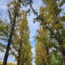 아주체육공원 이미지