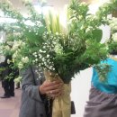 태성웨딩문화센터 이미지