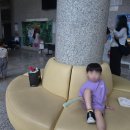 수원청소년문화센터 온누리아트홀 | [수원 뮤지컬] 수원 온누리아트홀 라푼젤 관람 후기