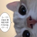 성주가야밀면