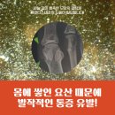 연세편한마디내과 이미지