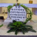 밀알꽃꽂이