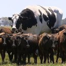 우용농장 이미지