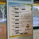 닭치시오 네이버블로그