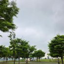 (주)코어라인소프트 | 상한가 잡고 10% 수익! 눌림목 타점으로 성공한 단타 매매 복기 (코어라인소프트)”
