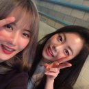 두꺼비집포차이즈백