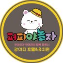 아지야 놀자 | 퍼피야 놀자 2번째 투숙객 땅콩이의 호텔링 후기