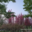 맥도날드~현대아파트앞 이미지