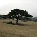 영기목장 이미지