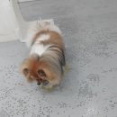 금동유치원 이미지