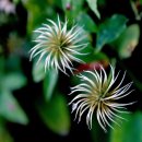 성호기념관 이미지