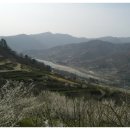 대부농원