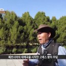 성지가 좋다 408회 : 이란 파사르가다에_고레스 왕의 궁과 무덤 이미지