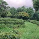 다원농장 이미지