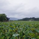 시골책방봄날 이미지