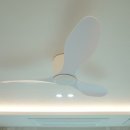 아크로펠리스 이미지