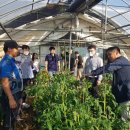 가평군 농업기술센터 이미지