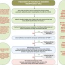 Pancreatic exocrine insufficiency 췌장 외분비 장애 2026 란셋 논문!! 이미지