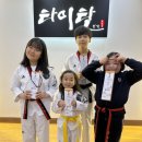 타이탄 히어로즈 태권도 이미지