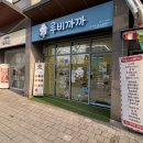 댕이 데이 | 평택 루비까까 반려견 생일 파티 케이크 수제 간식 추천 후기