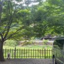 들살이오토캠핑장 이미지