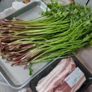 치산미나리 10호점 이미지