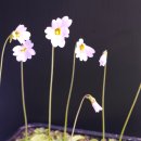 철주농장 이미지