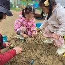 (주)오월에숲