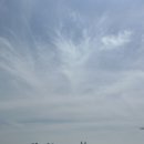 부산시 해운대구 우동 오션뷰 대형카페 추천 전주연 바리스타의 모모스커피 마린시티점