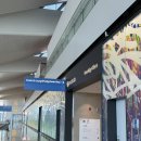 어울림국제결혼 | 두바이 대한항공 B787-9 프레스티지석 비즈니스 후기 (두바이 - 몰디브 - 싱가포르 신혼여행 대장정의...