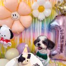 너를닮은케이크 이미지