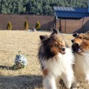 스테이 하루 이미지